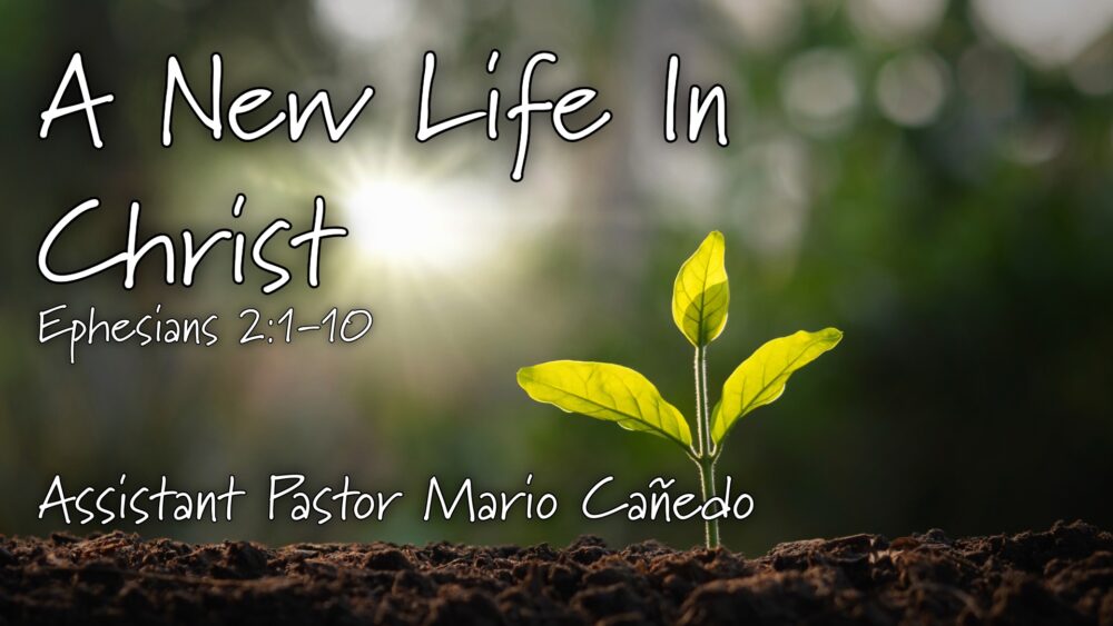 A New Life In Christ Image